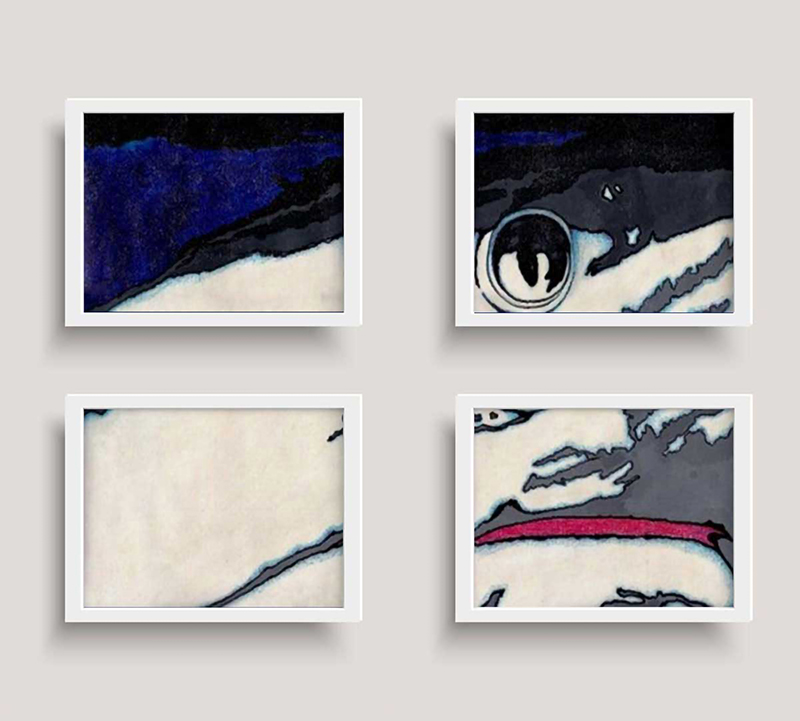 “Jaws 1.1” Bestiary Series