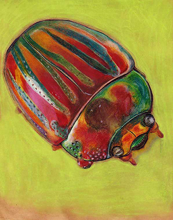 “Bug” Bestiary Series