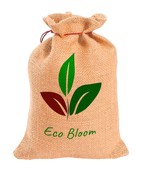 Eco Bloom