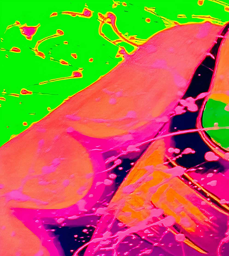 “Lainier’s Finger” Fairy Tale Series