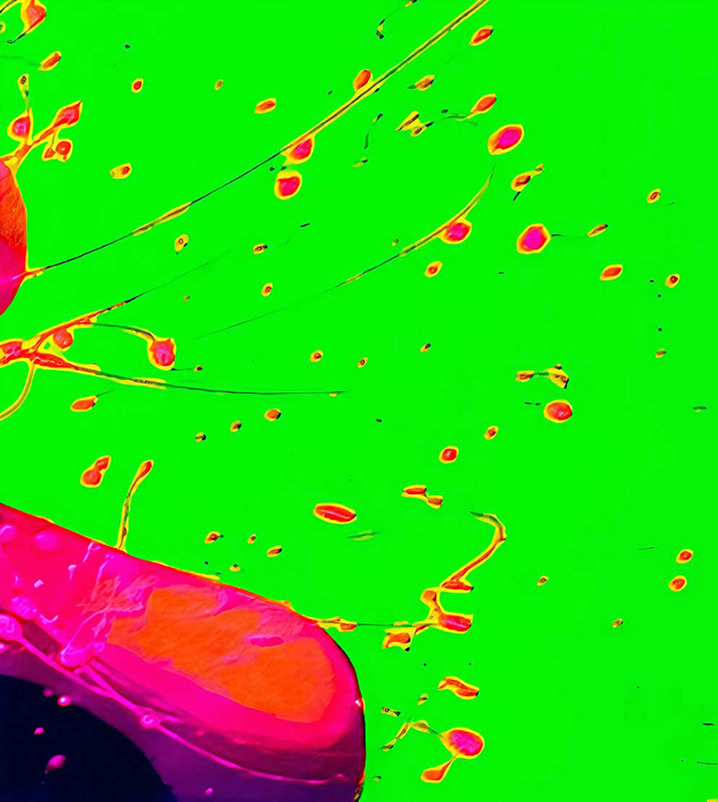 “Lainier’s Finger” Fairy Tale Series