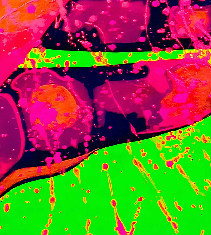 “Lainier’s Finger” Fairy Tale Series